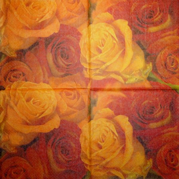 528 Roses - 3-ply - Avantgarde